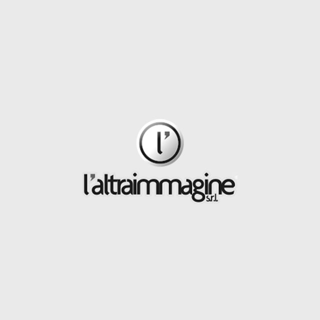 L’Altraimmagine s.r.l.